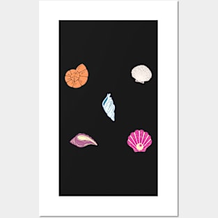 Beach Shells Pack Posters and Art